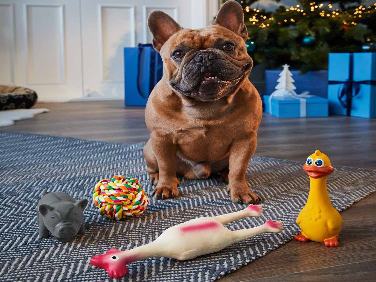 Lot de jouets pour chiens - Panier de fruits – L'avant gardiste