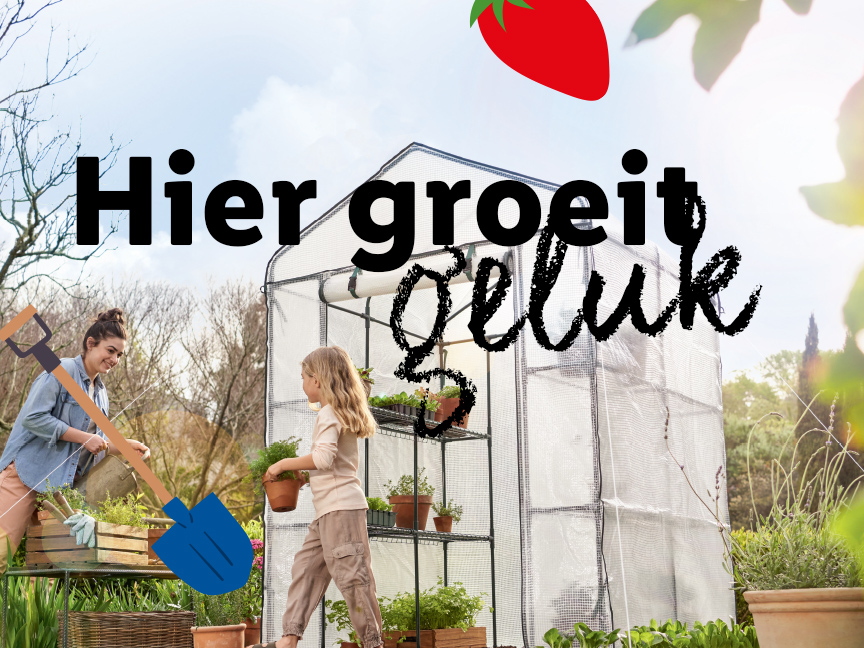 Aja Verstoring heerlijkheid Alles voor je tuin & terras goedkoop online | Lidl.be